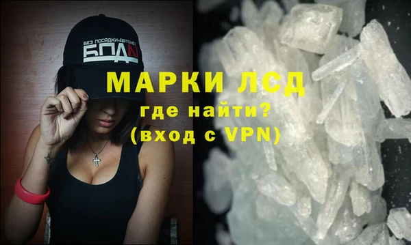 прущие грибы Пролетарск
