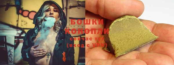 прущие грибы Пролетарск