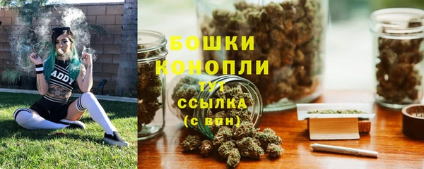 прущие грибы Пролетарск