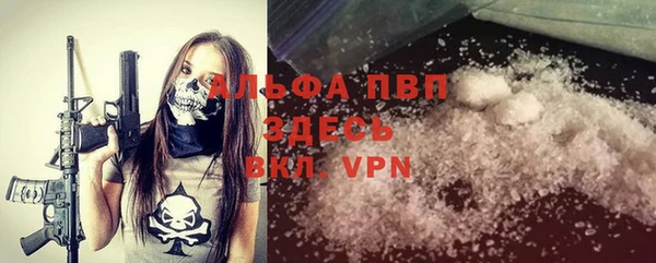 прущие грибы Пролетарск