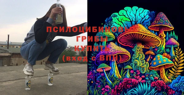 прущие грибы Пролетарск
