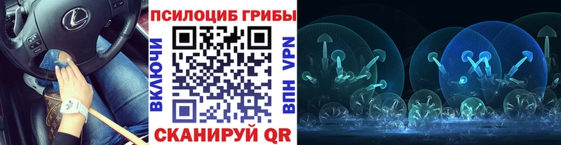 Псилоцибиновые грибы Psilocybine cubensis  где продают   Суздаль 